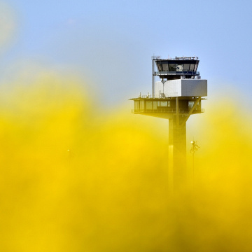 Der Tower des neuen Hauptstadtflughafens BER scheint zwischen blühendem Raps zu versinken., © dpa/Ralf Hirschberger