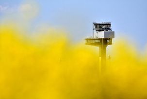 Der Tower des neuen Hauptstadtflughafens BER scheint zwischen blühendem Raps zu versinken., © dpa/Ralf Hirschberger