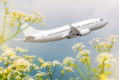 Flugzeug hinter Blumen. (Symbolbild)., © Adobe Stock/aapsky
