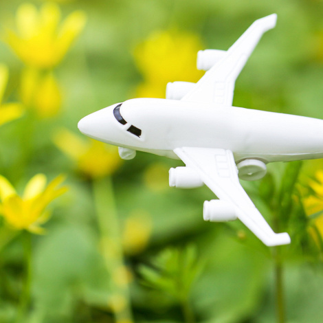 Disruptoren der Luftfahrt, © Adobe Stock/liliya