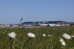 Eine Wiese mit Blumen vor parkenden Flugzeugen am Flughafen Hamburg., © Flughafen Hamburg