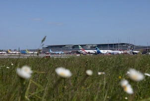 Eine Wiese mit Blumen vor parkenden Flugzeugen am Flughafen Hamburg., © Flughafen Hamburg
