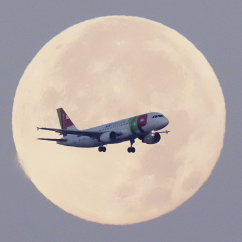 Ein Airbus A320 der Tap Air Portugal im Anflug auf Lissabon im Morgengrauen., © DPA/Armando Franca