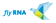Logo: RNA Rhein-Neckar Air GmbH